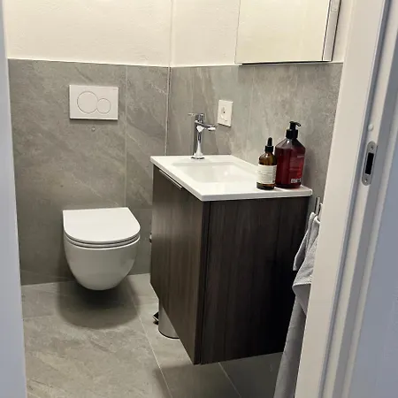 Parco Ameno Apartment Germignaga